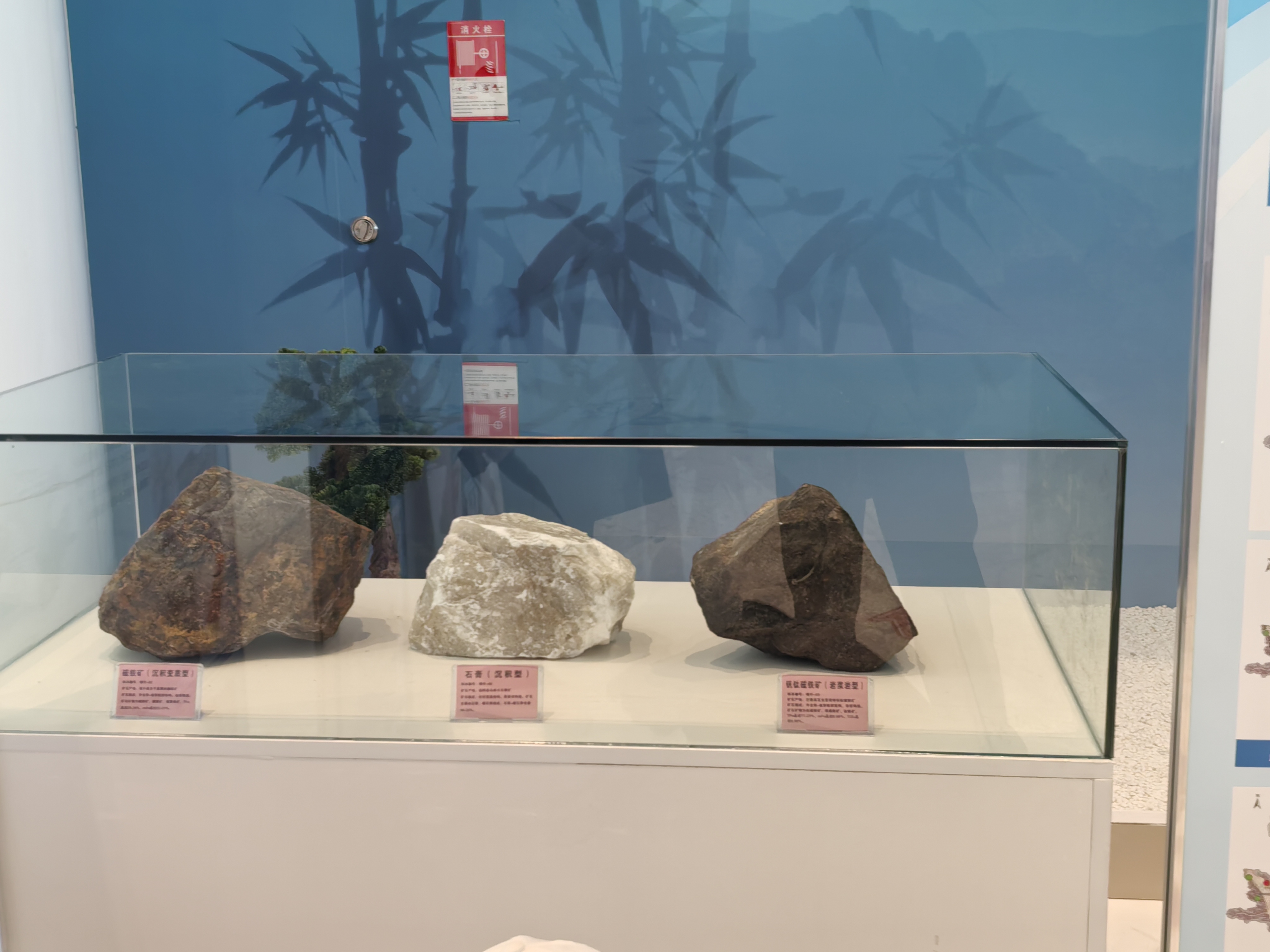 自治區北疆礦業權出讓項目推介會（礦石樣品展示）
